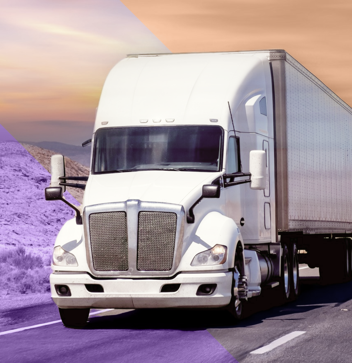 Shippers and Importers